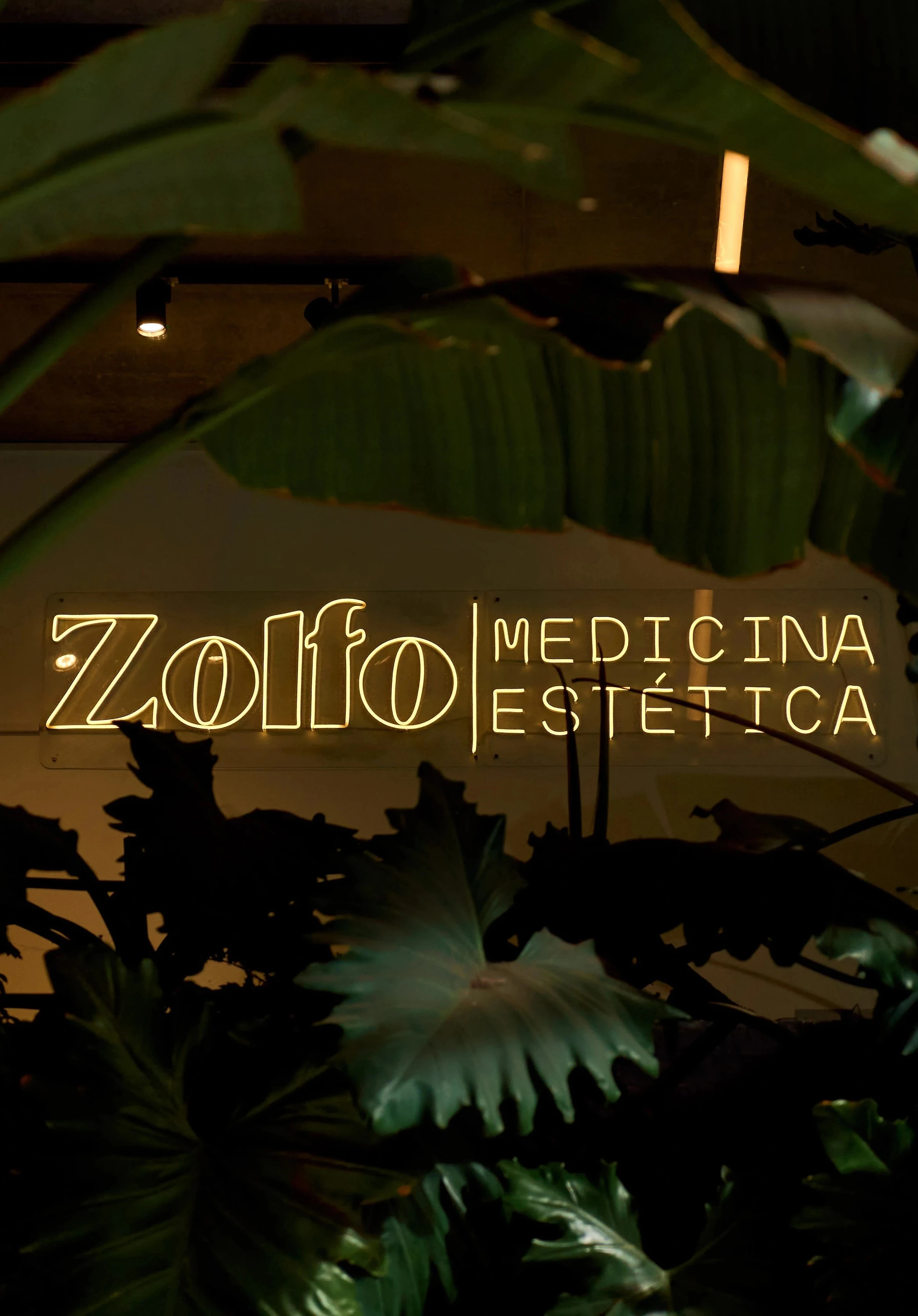 Zolfo Estética Clinica